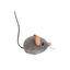 Outward Hound Catstages Squeaky Squeaky Gris Rato com Catnip para gatos, , large Indicador imagem número 1
