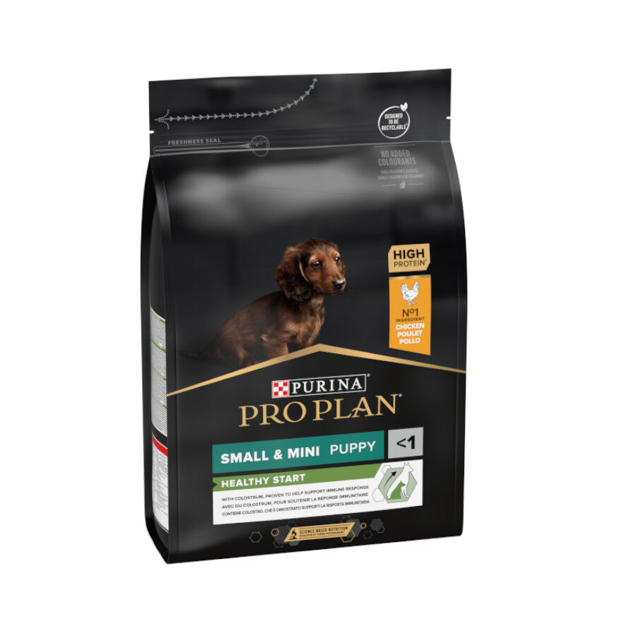 Pro Plan Puppy Small e Mini Healthy Start Frango ra&ccedil;&atilde;o, , large Imagem n&uacute;mero 1
