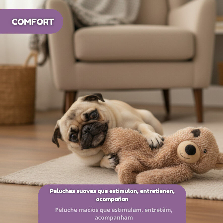 Tootoy! Comfort Peluche de urso para c&atilde;es, , large Imagem n&uacute;mero 5