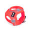 Gloria Air Mesh Trek Star Peitoral Rosa para cães, , large Indicador imagem número 1