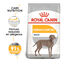 12 kg Royal Canin Maxi Dermacomfort ração para cães, , large Indicador imagem número 2