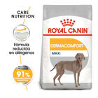 Royal Canin Maxi Dermacomfort ração para cães, , large image number null