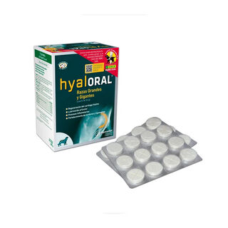 Pharmadiet Hyaloral Condoprotetor para cães de raças grandes e gigantes