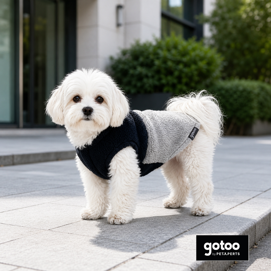 Gotoo Casaco Azul e Cinzento para c&atilde;es, , large Imagem n&uacute;mero 1