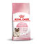 10 kg Royal Canin Mother & Baby ração para gatos, , large Indicador imagem número 1