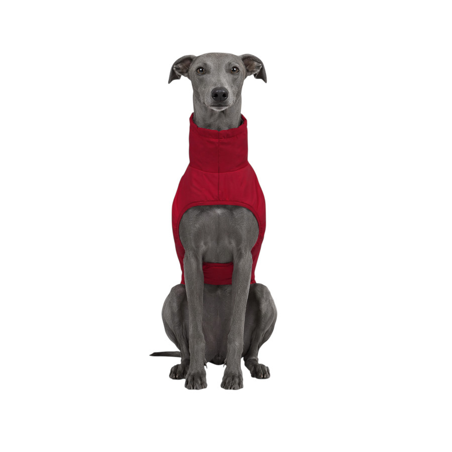Gotoo Casaco Imperme&aacute;vel Vermelho para galgos, , large Imagem n&uacute;mero 7