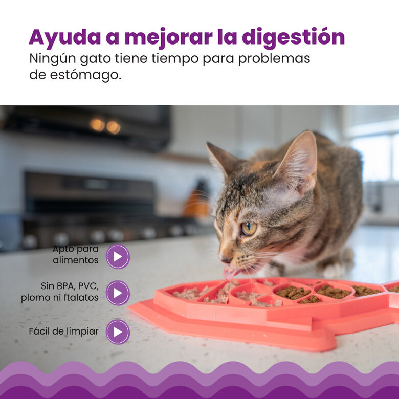 Catstages Fishie Fun Peixe Brinquedo Dispensador de alimentos para gatos,  Imagem número 3 Catstages Fishie Fun Peixe Brinquedo Dispensador de alimentos para gatos, , large Imagem número 3
