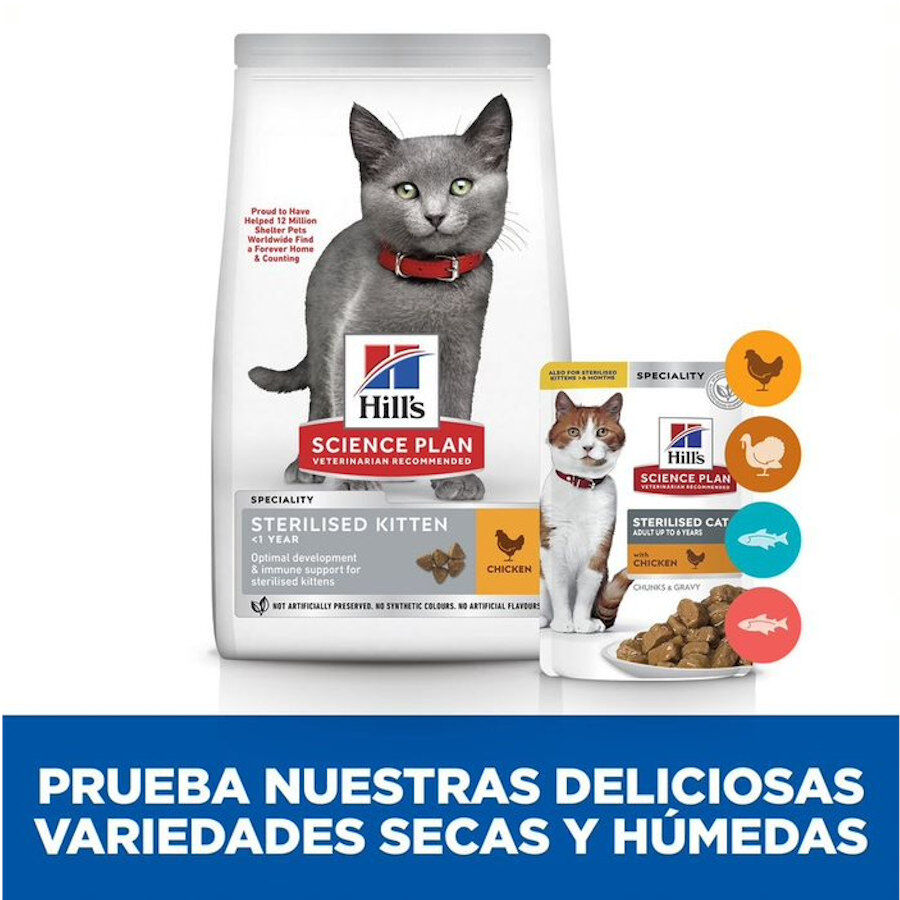 7 kg &nbsp; Hill's Kitten Science Plan Sterilized Frango ra&ccedil;&atilde;o, , large Imagem n&uacute;mero 6