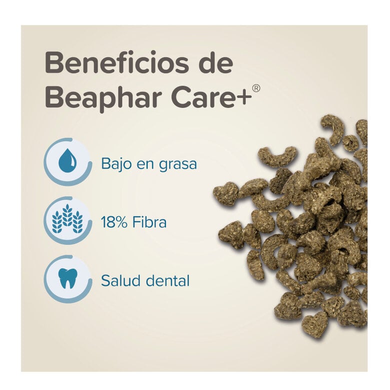 Beaphar Care+ Ração para degus,  Imagem número 3 Beaphar Care+ Ração para degus, , large Imagem número 3