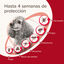 Beaphar Protectix Pipetas para c&atilde;es, , large Indicador imagem n&uacute;mero 4