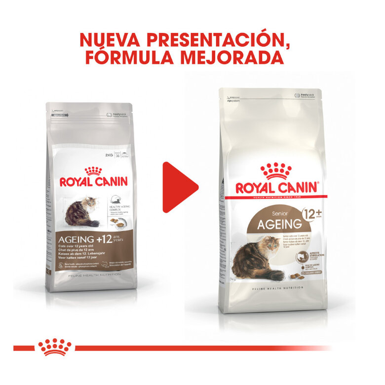 Royal Canin Ageing +12 ração para gatos, , large image number null