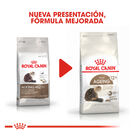 Royal Canin Ageing +12 ração para gatos, , large image number null
