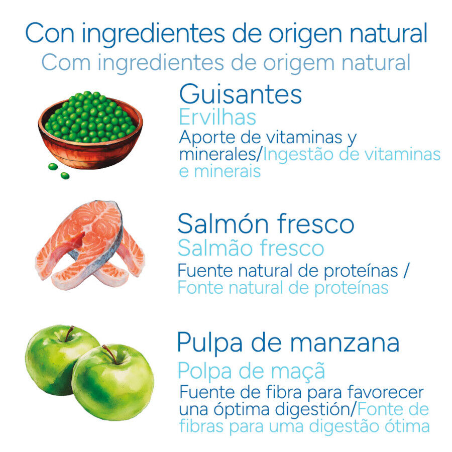 Criadores Cient&iacute;fico Senior Sensitive Mini Ra&ccedil;&atilde;o de salm&atilde;o para c&atilde;es, , large Imagem n&uacute;mero 5