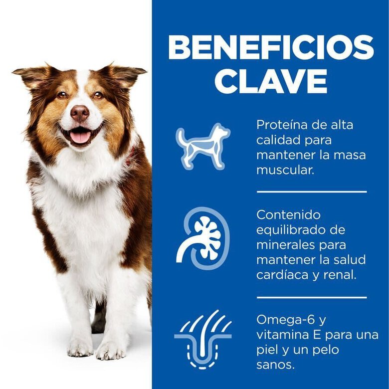 14 kg Hill's Science Plan Medium Mature Adult Frango ração para cães,  Imagem número 4 14 kg Hill's Science Plan Medium Mature Adult Frango ração para cães, , large Imagem número 4