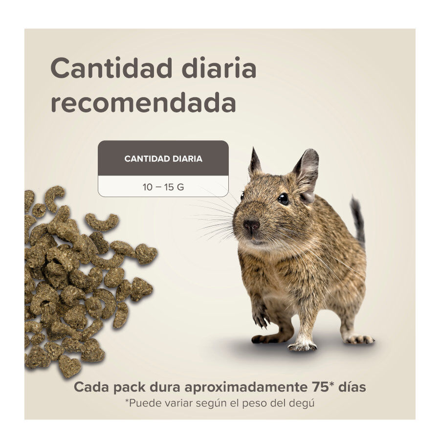 Beaphar Care+ Ra&ccedil;&atilde;o para degus, , large Imagem n&uacute;mero 7