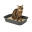 TK Pet Caixa de areia básica para gatos, , large Indicador imagem número 1