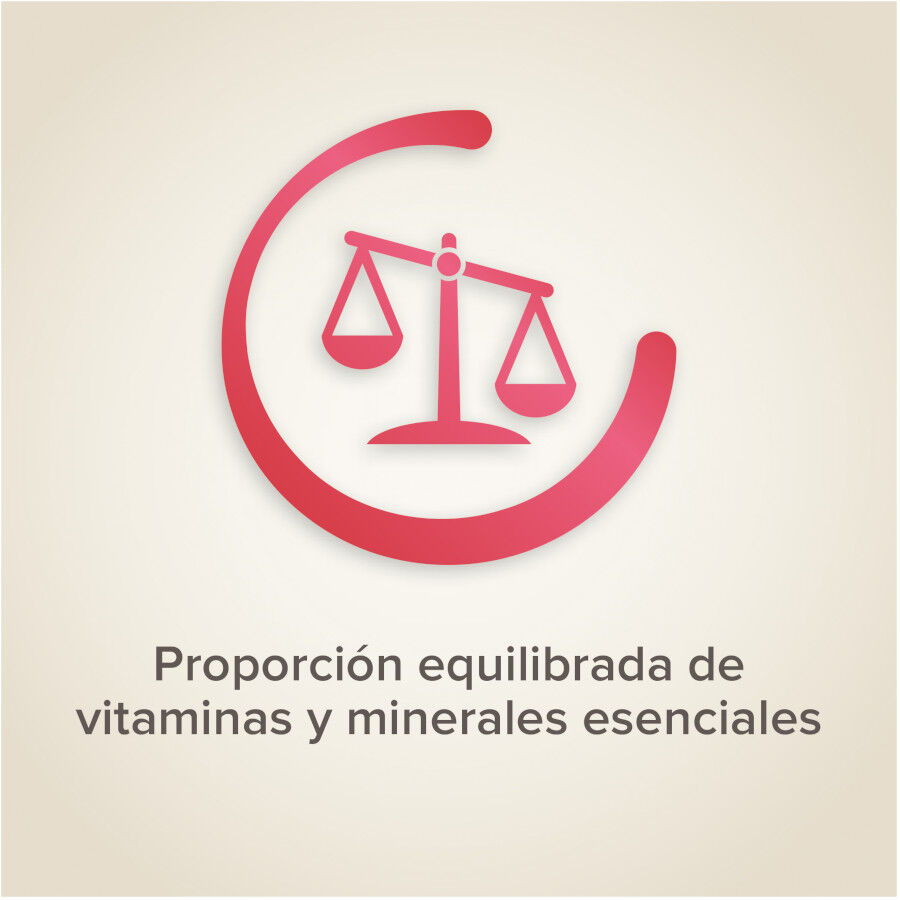 Beaphar sementes de frutas para p&aacute;ssaros, , large Imagem n&uacute;mero 4