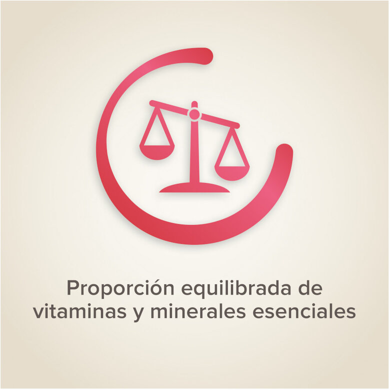 Beaphar sementes de frutas para pássaros,  Imagem número 4 Beaphar sementes de frutas para pássaros, , large Imagem número 4