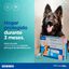 Effipro Duo pipetas antiparasíticas para cães, , large Indicador imagem número 6