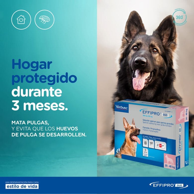 Effipro Duo pipetas antiparasíticas para cães,  Imagem número 6 Effipro Duo pipetas antiparasíticas para cães, , large Imagem número 6