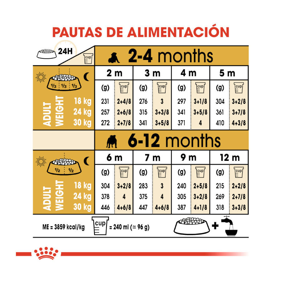 Royal Canin Puppy Bulldog ra&ccedil;&atilde;o para c&atilde;es, , large Imagem n&uacute;mero 9