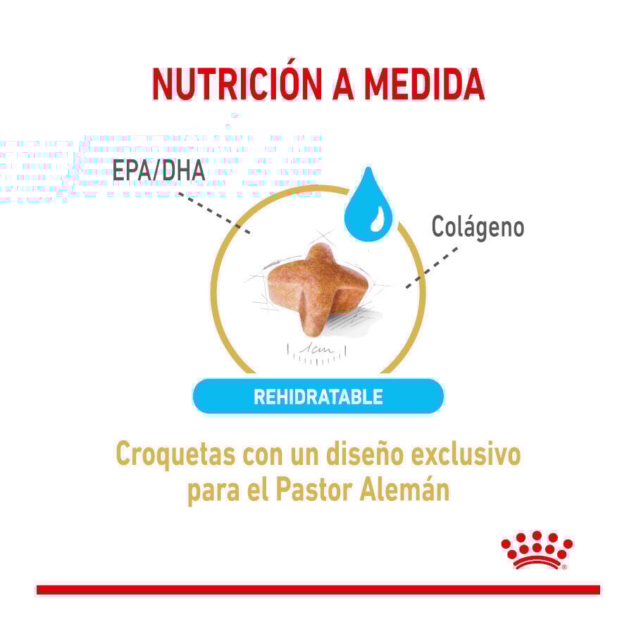 12 kg Royal Canin Adult 5+ Pastor Alem&atilde;o ra&ccedil;&atilde;o para c&atilde;es, , large Imagem n&uacute;mero 3