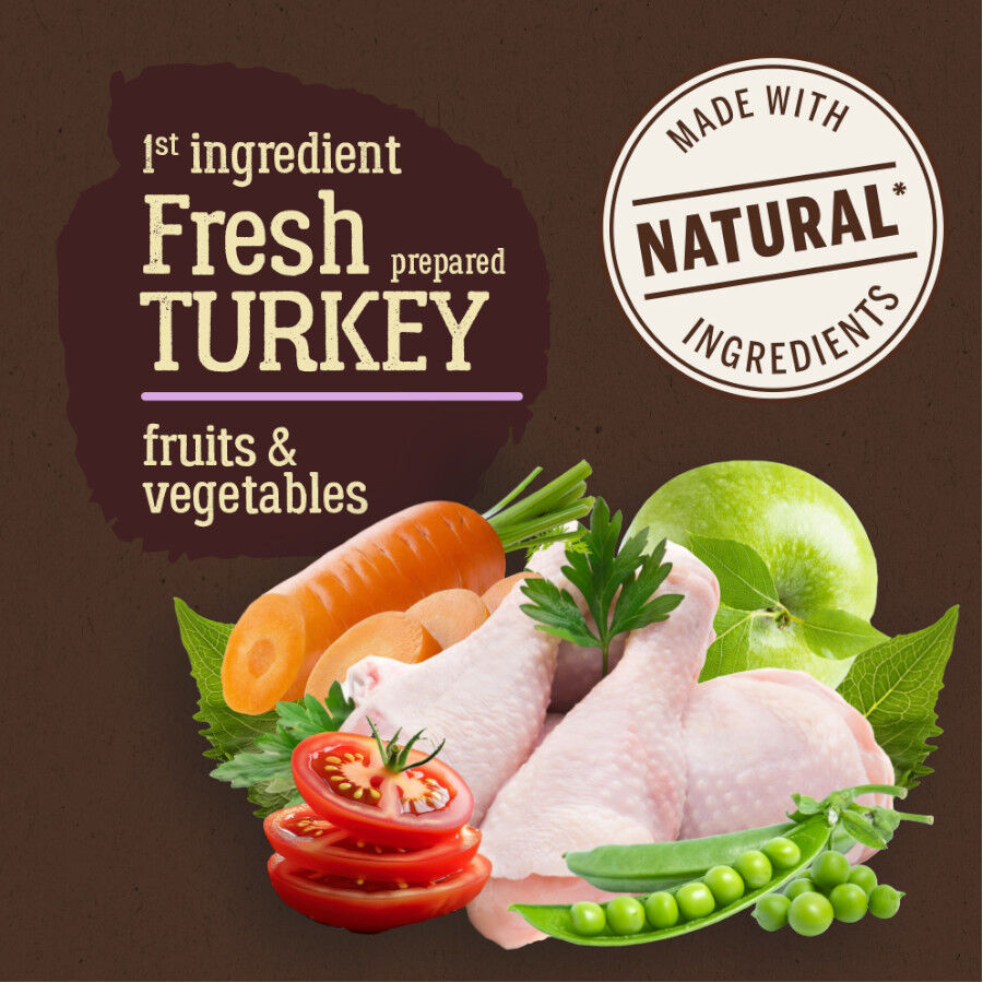 12 kg True Origins Pure Grain Free Adult Ra&ccedil;&atilde;o de peru para c&atilde;es, , large Imagem n&uacute;mero 2