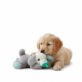 All For Paws Brinquedo chupeta Heartbeat branco para cachorros