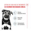 15 kg Royal Canin Puppy Maxi ra&ccedil;&atilde;o para c&atilde;es, , large Indicador imagem n&uacute;mero 3