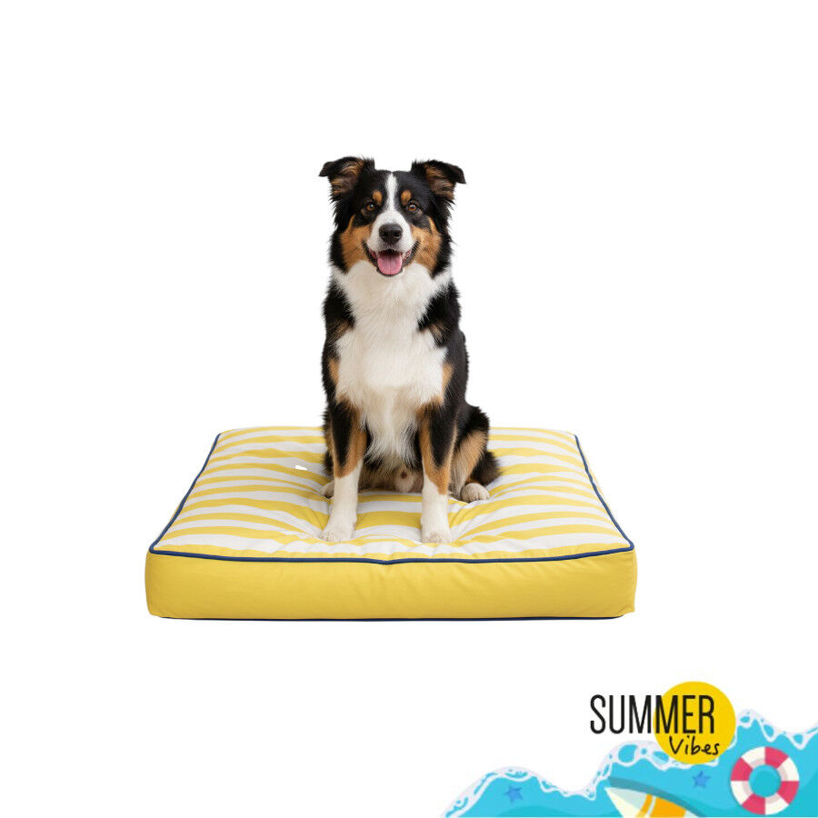 Summer Vibes Cool Club Mattress Cama Refrescante para c&atilde;es, , large Imagem n&uacute;mero 7