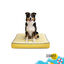 Summer Vibes Cool Club Mattress Cama Refrescante para c&atilde;es, , large Indicador imagem n&uacute;mero 7
