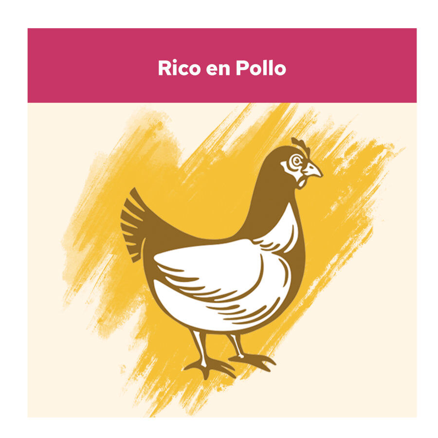 2 x 15 kg Cat Chow Urinary Tract Health Frango ra&ccedil;&atilde;o para gatos Pack poupan&ccedil;a!, , large Imagem n&uacute;mero 4