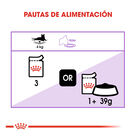Royal Canin Feline Sterilised Saquetas com molho para gatos, , large image number null