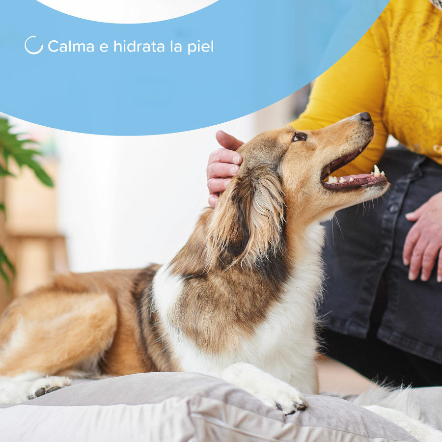 Beaphar Spray de Tratamento da Pele para C&atilde;es e Gatos, , large Imagem n&uacute;mero 4