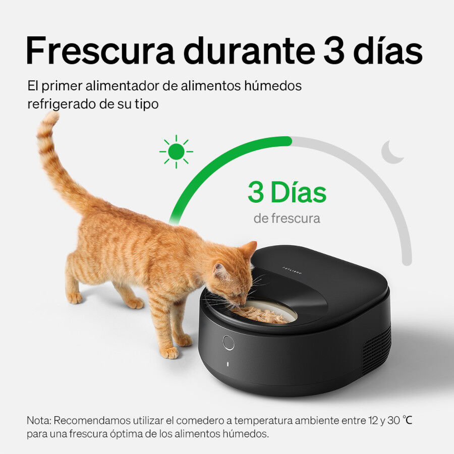Petlibro Polar Comedouro autom&aacute;tico para alimenta&ccedil;&atilde;o h&uacute;mida para c&atilde;es e gatos, , large Imagem n&uacute;mero 5