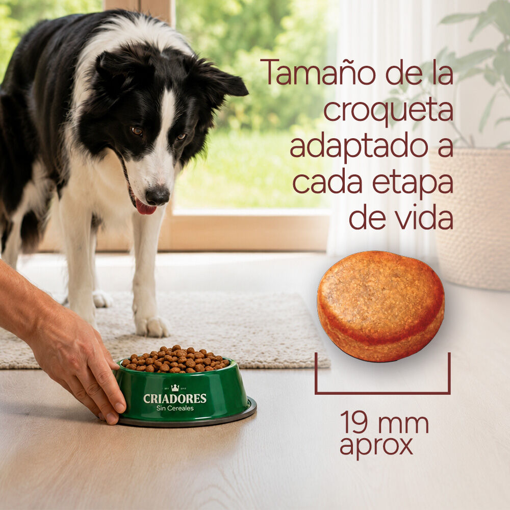 12 kg Criadores Grain Free Peru ra&ccedil;&atilde;o c&atilde;es ra&ccedil;as m&eacute;dias e grandes, , large Imagem n&uacute;mero 8