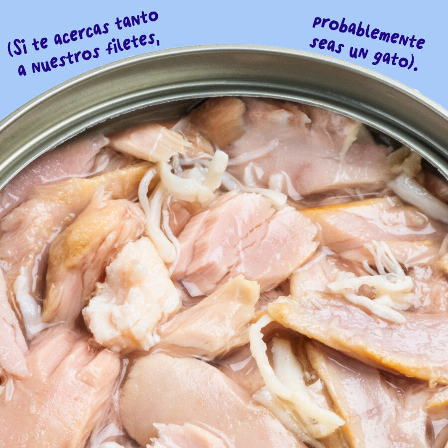 70 g Edgard & Cooper Alimento h&uacute;mido de atum e frango em lata para gatos, , large Imagem n&uacute;mero 5