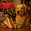 12 barritas Wonder Christmas Barritas Navideñas para perros, , large Indicador imagem número 4