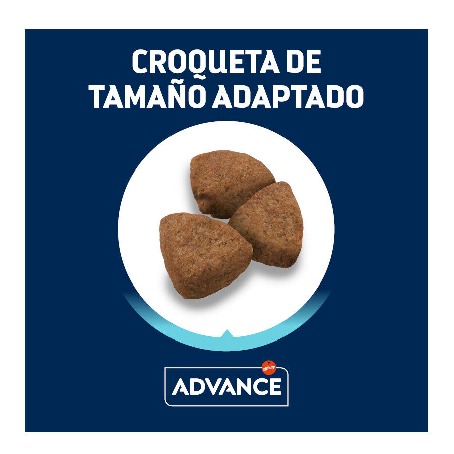 18 kg Advance Active Defense Maxi Adult Frango e Arroz ra&ccedil;&atilde;o para c&atilde;es, , large Imagem n&uacute;mero 3