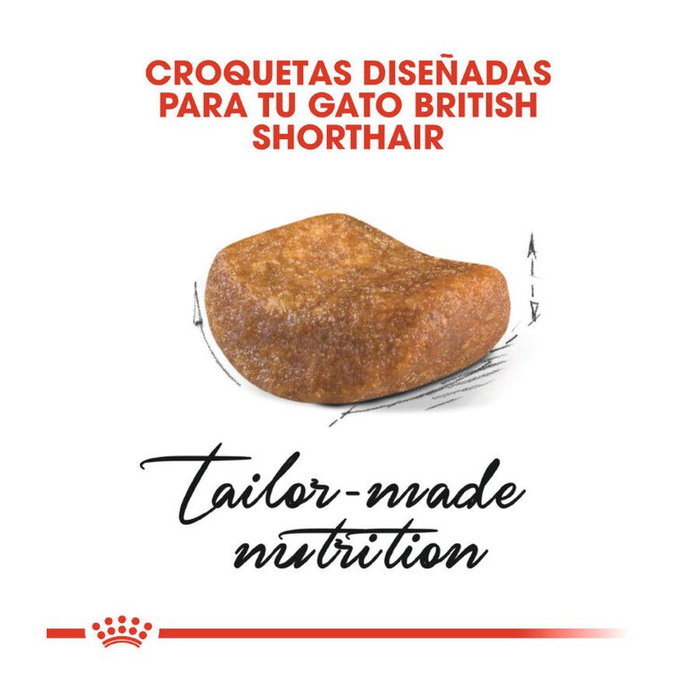 10 kg Royal Canin Adult British Shorthair ração para gatos,  Imagem número 4 10 kg Royal Canin Adult British Shorthair ração para gatos, , large Imagem número 4