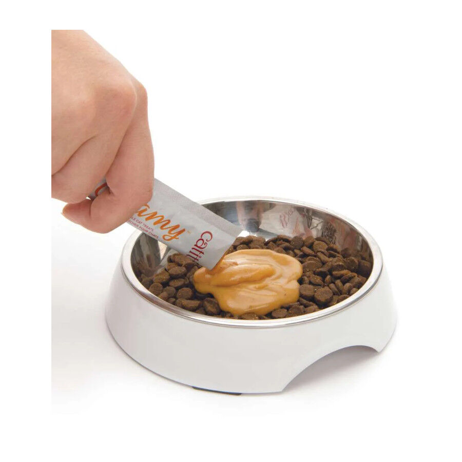 4 saquetas x 10 g Catit Creamy Snack L&iacute;quido de Atum para Gatos, , large Imagem n&uacute;mero 5