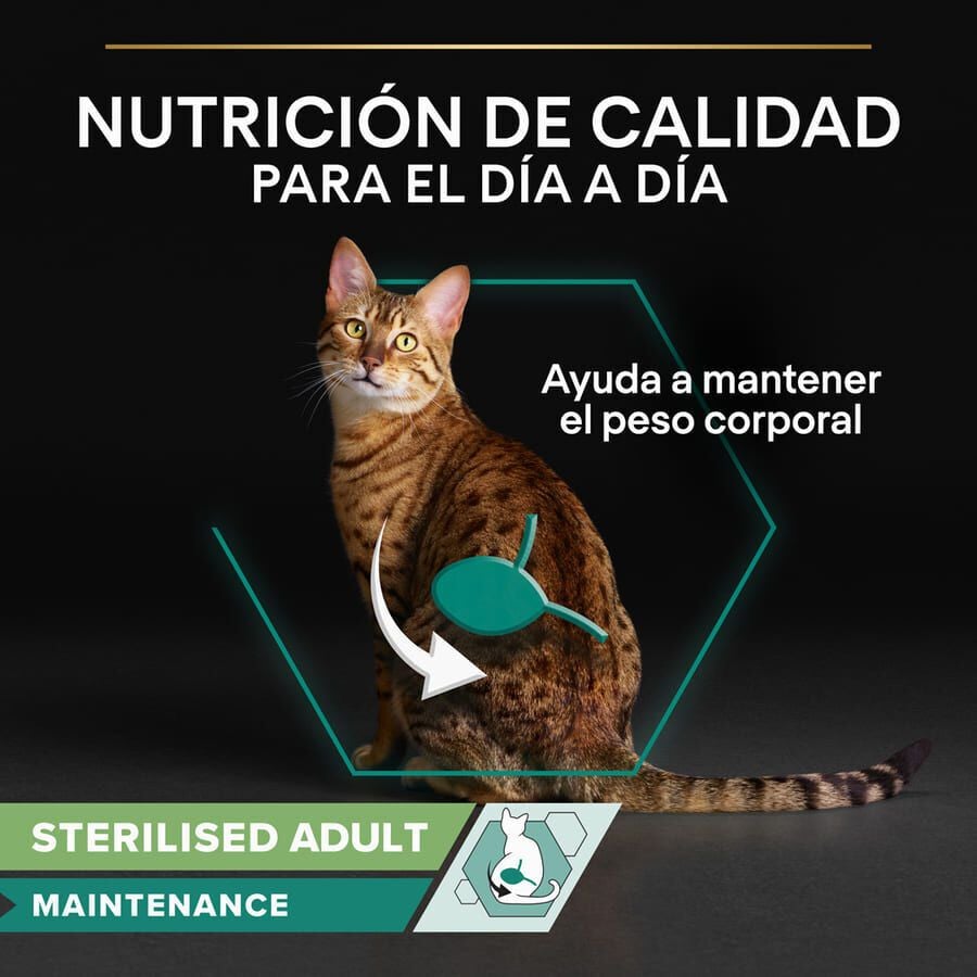 85 g Pro Plan Sterilised Maintenance saquetas com frango em molho para gatos, , large Imagem n&uacute;mero 3