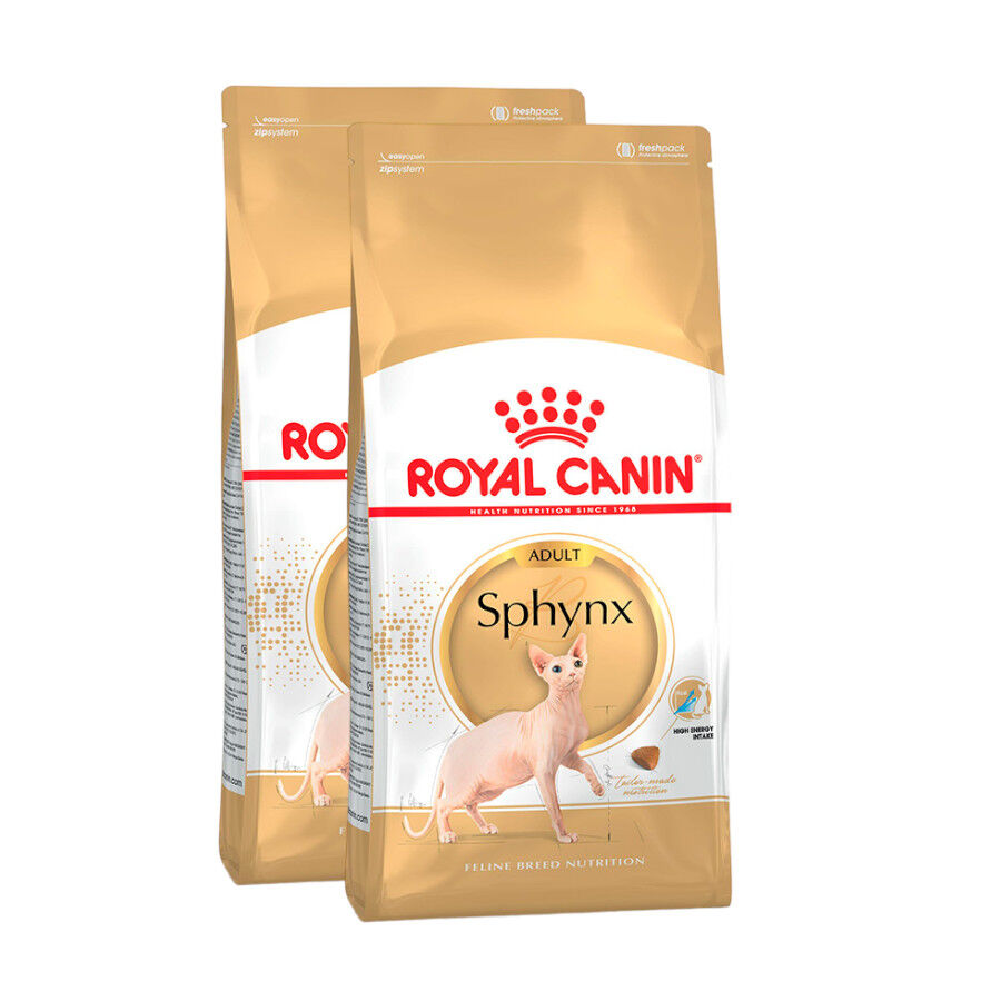 2 x 10 kg Royal Canin Adult Sphynx ra&ccedil;&atilde;o para gatos Pack poupan&ccedil;a!, , large Imagem n&uacute;mero 1