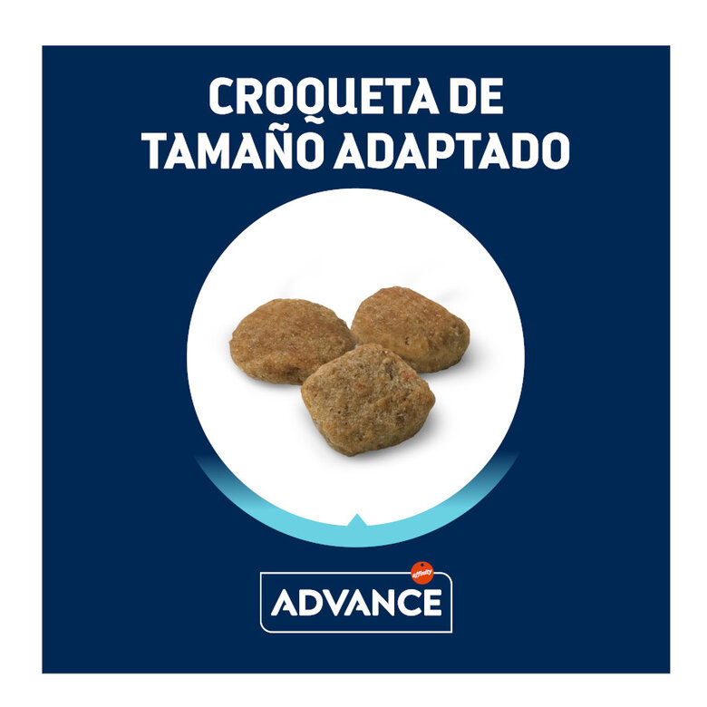 3 kg Advance Active Defense Senior Mini +8 Frango e Arroz ração para cães,  Imagem número 3 3 kg Advance Active Defense Senior Mini +8 Frango e Arroz ração para cães, , large Imagem número 3