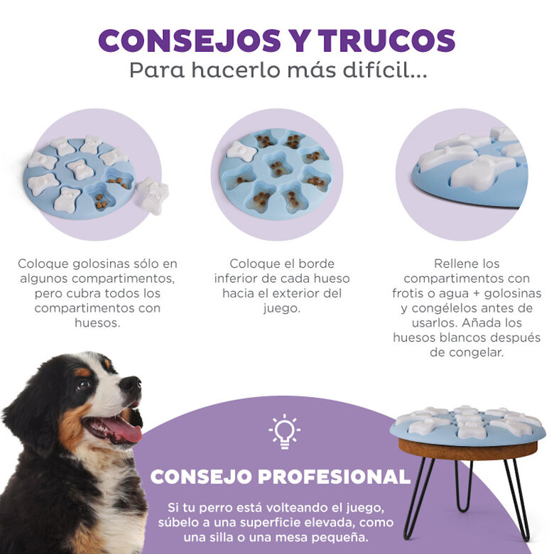 Outward Hound Puppy Smart Puzzle para cachorros,  Imagem número 4 Outward Hound Puppy Smart Puzzle para cachorros, , large Imagem número 4