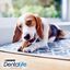 Purina Dentalife Raza Pequeña Multipack Indicador imagem número 6