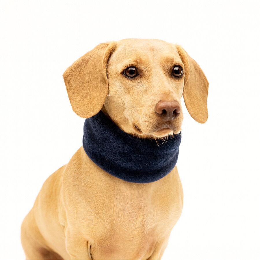 Outech Cachecol Azul para c&atilde;es, , large Imagem n&uacute;mero 3