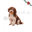 1 un. Wonder Christmas Donut Snacks para C&atilde;es, , large Indicador imagem n&uacute;mero 1