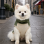 Gotoo Camisola Polar Verde para c&atilde;es, , large Indicador imagem n&uacute;mero 1