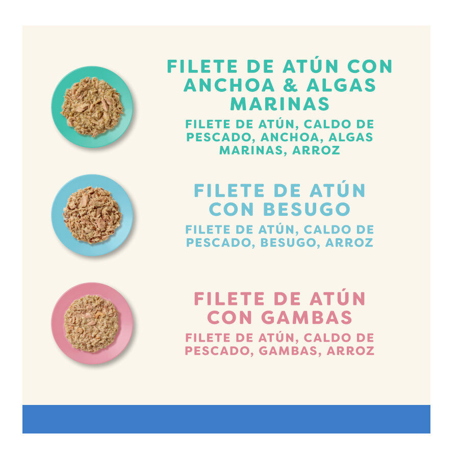 12 saquetas x 70 g Applaws Selecci&oacute;n de Peixe saqueta para gatos - Multipack, , large Imagem n&uacute;mero 4